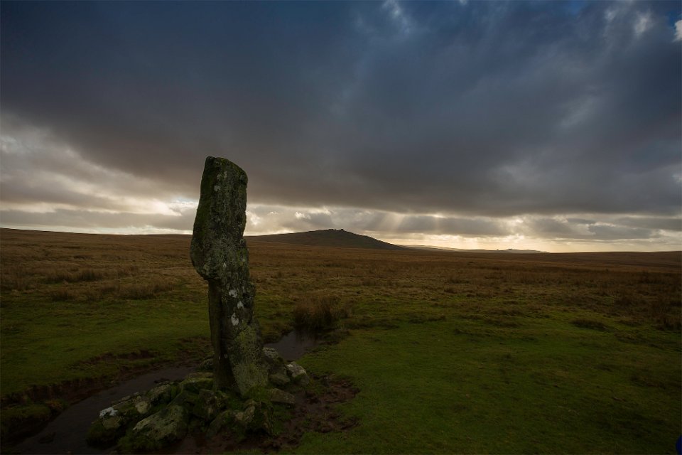 hare tor6